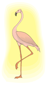 Flamingo With Light Clip Art